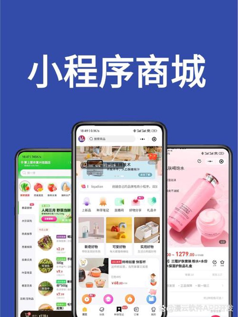 软件开发：从构思到实现的艺术之旅